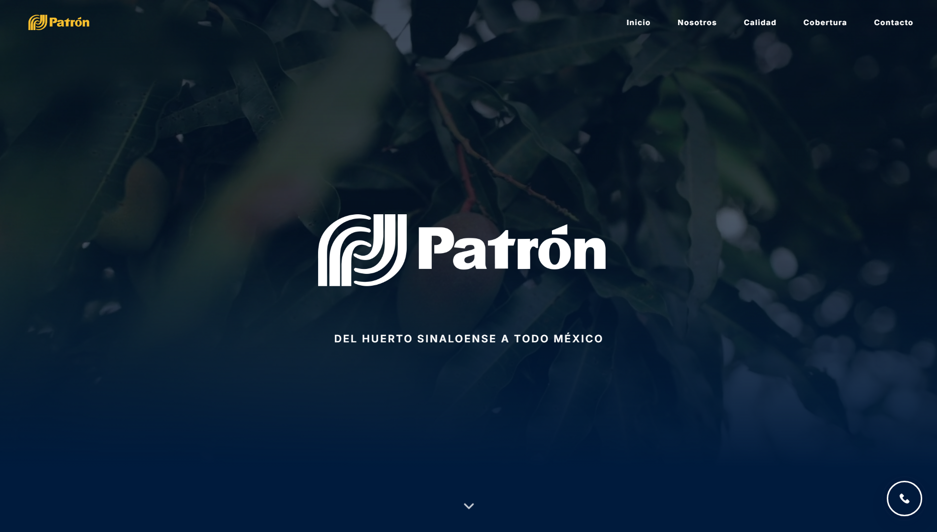 Sitio web de Mangos Patrón